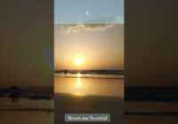 How to make money online like a pro